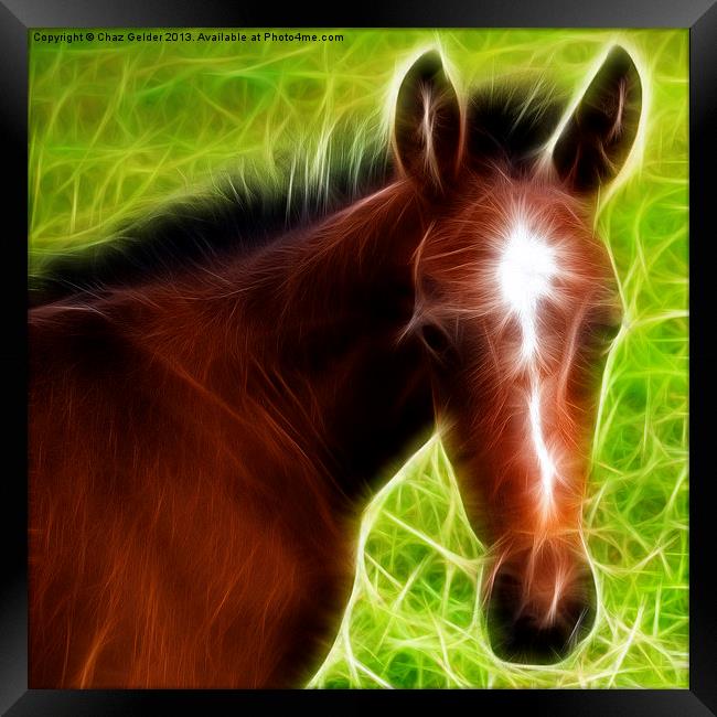 Fractal Foal Framed Print by Chaz Gelder