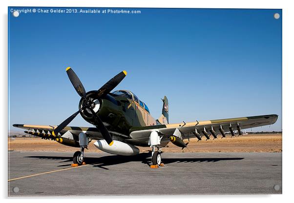 Douglas AD-6 Skyraider Acrylic by Chaz Gelder