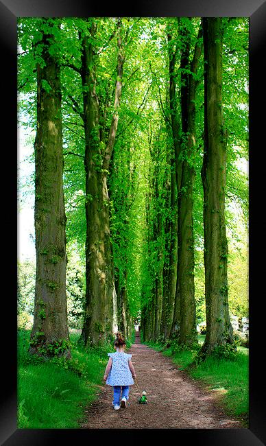 Walking with Giants Framed Print by Stephen Brown