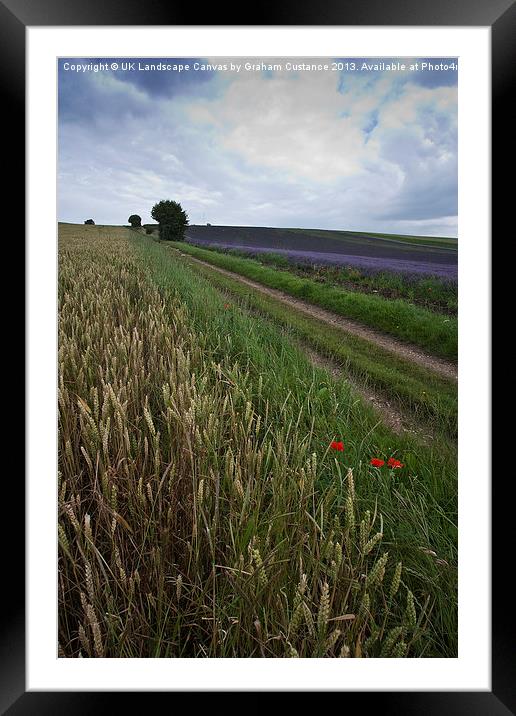 Lavender Field Framed Mounted Print by Graham Custance