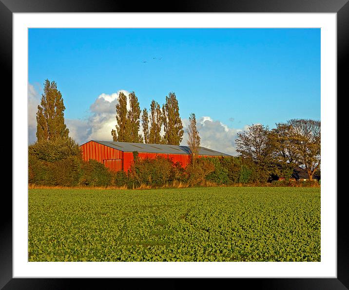 Red Barn Framed Mounted Print by Paul Scoullar