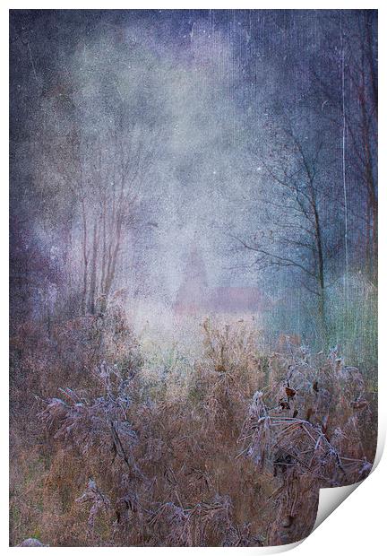 Fairy Glade Print by Dawn Cox