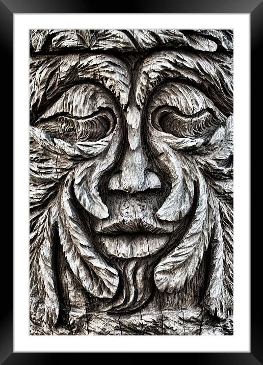 Oi Oak Head! Framed Mounted Print by Ray Pritchard