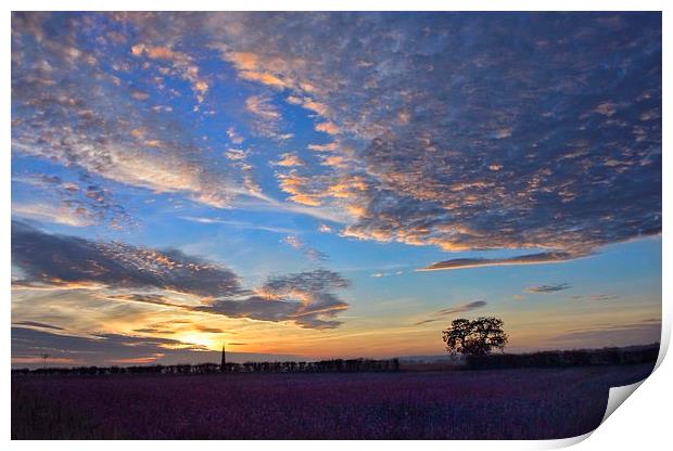 Sunset over a field of flowers Print by Gary Pearson