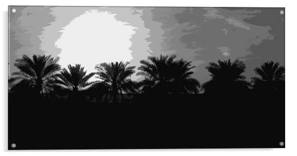 Arabian Silhouette Acrylic by Ali Asgar  Khokhawala