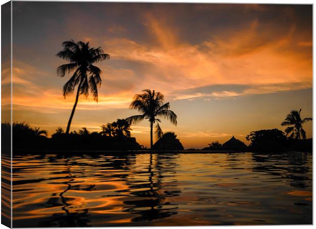 tropical sunset Canvas Print by Gail Johnson