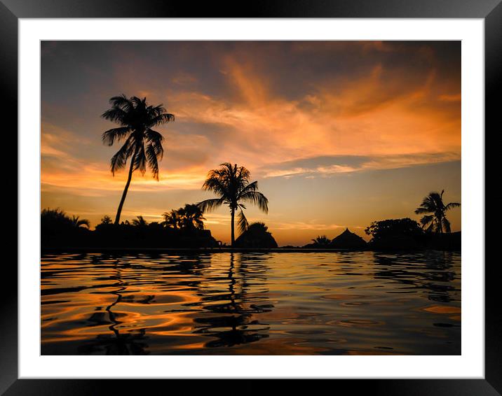 tropical sunset Framed Mounted Print by Gail Johnson