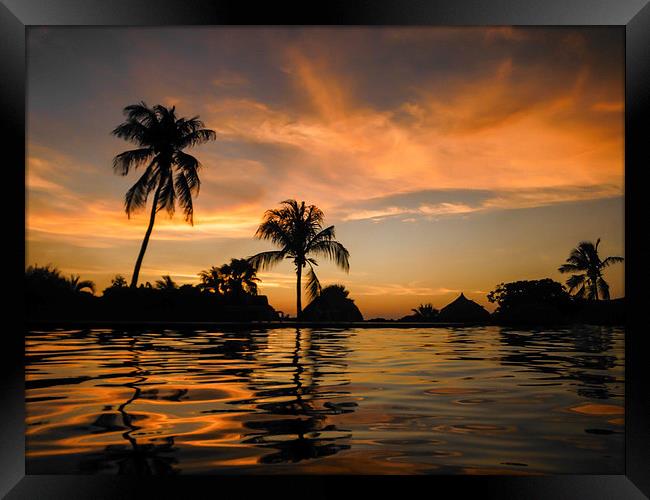 tropical sunset Framed Print by Gail Johnson