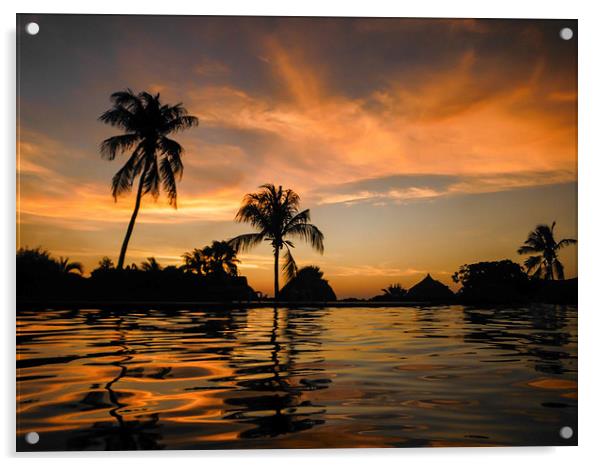 tropical sunset Acrylic by Gail Johnson