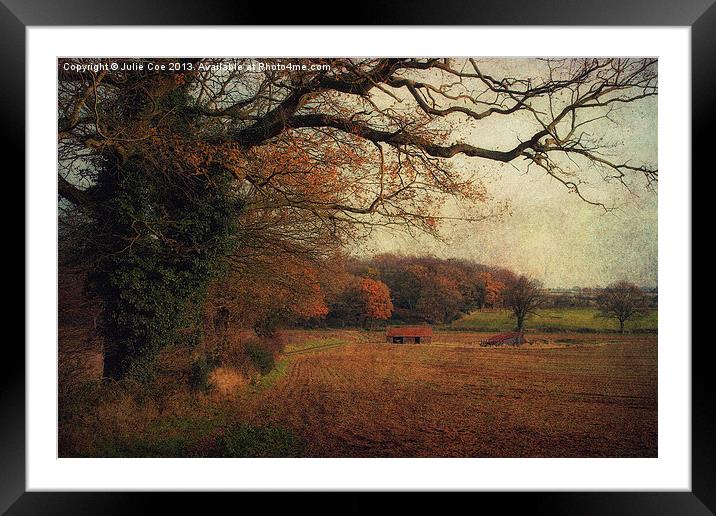 Fields and Barns Framed Mounted Print by Julie Coe