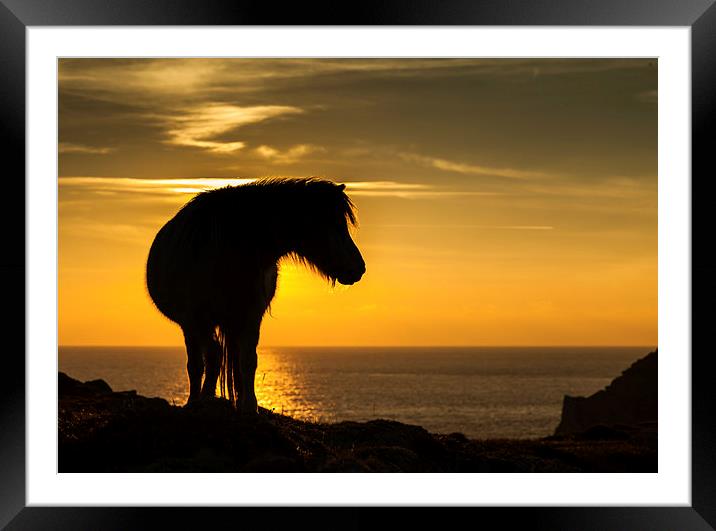 Wild Welsh Pony's Framed Mounted Print by Gail Johnson