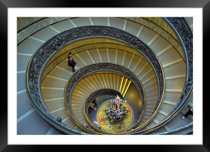 Spiral Staircase in Vatican Museum Framed Mounted Print by Tony Murtagh
