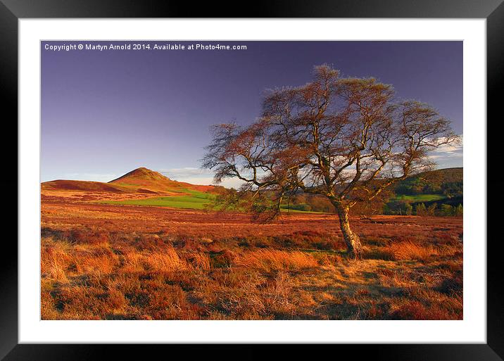 Moorland Tree North York Moors Framed Mounted Print by Martyn Arnold