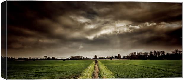 the fields Canvas Print by Thanet Photos