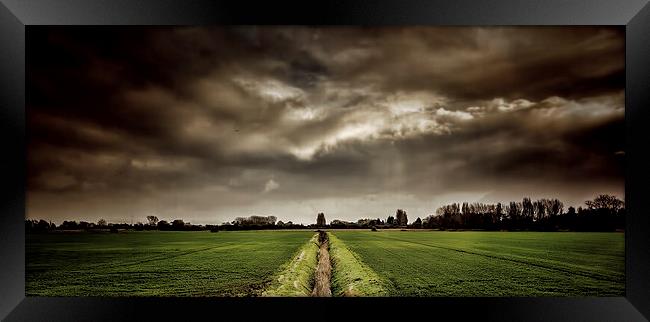 the fields Framed Print by Thanet Photos