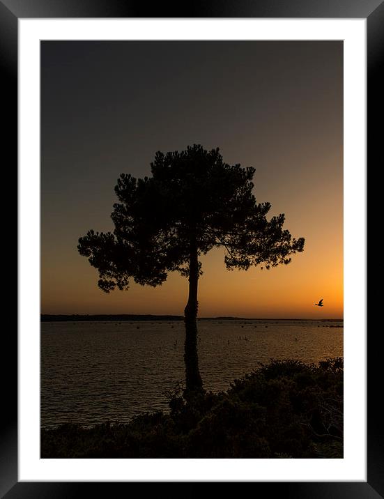 Tranquil Sunset over Evening Hill Framed Mounted Print by Daniel Rose