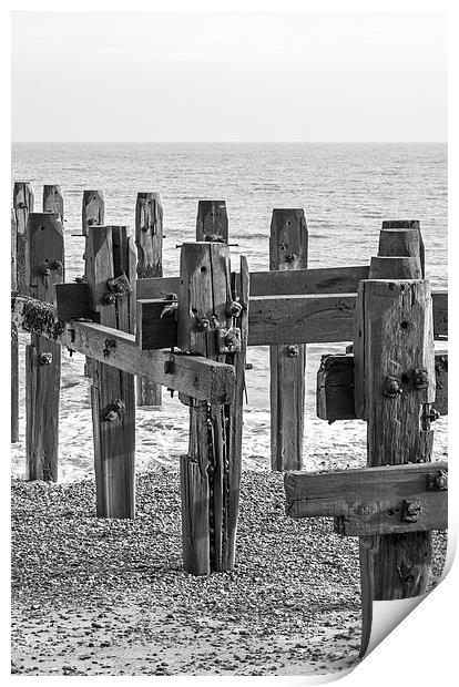 Weathered wooden groins Print by Brian Fry