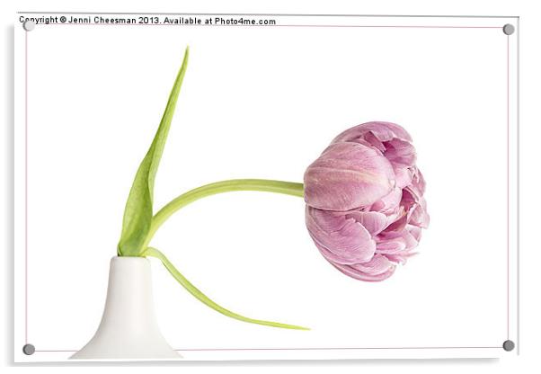 Mauve Tulip Acrylic by Jenni Cheesman