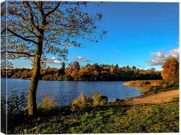 Autumn By The Lake Canvas Print by Ian Lewis