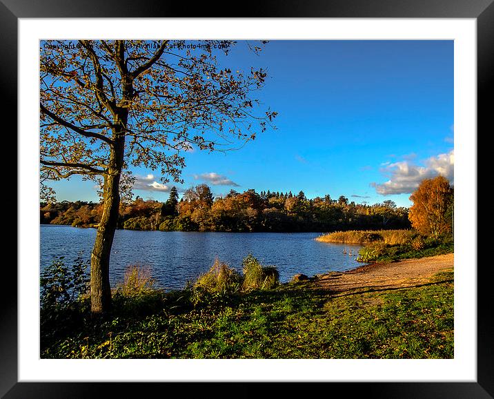 Autumn By The Lake Framed Mounted Print by Ian Lewis