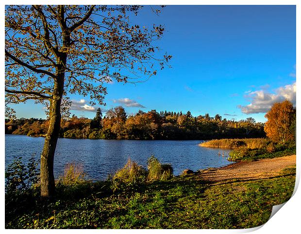 Autumn By The Lake Print by Ian Lewis