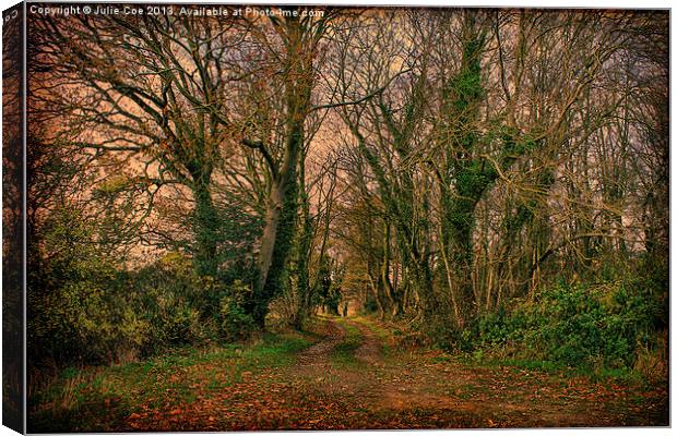 Woodland Walk Canvas Print by Julie Coe