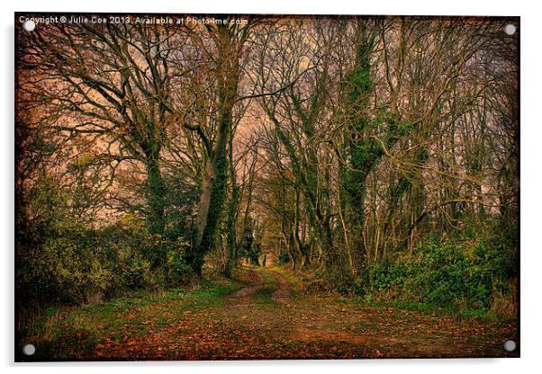 Woodland Walk Acrylic by Julie Coe