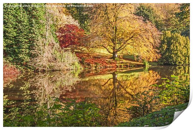 Autumn colours. Print by John Morgan