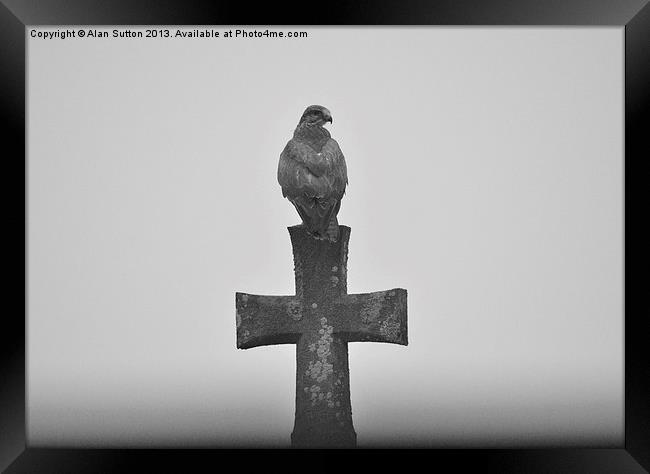 Spooky Buzzard Framed Print by Alan Sutton