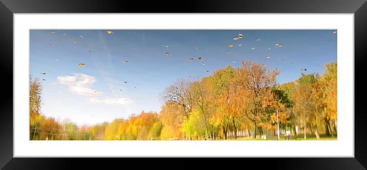 Reflection Framed Mounted Print by Michael Wood