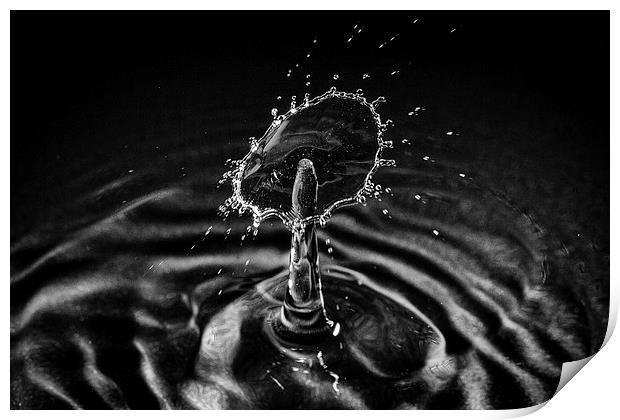 Water Droplet Print by Andy McGarry
