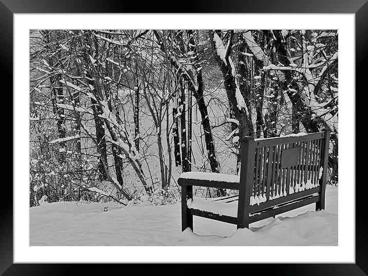 Watching a winter wonderland. Framed Mounted Print by Jeffrey Evans