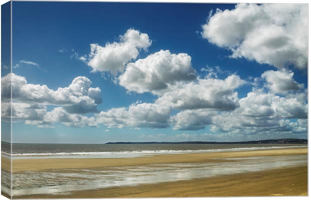 Swansea Cotton Wool Canvas Print by Purple OneTwoEight