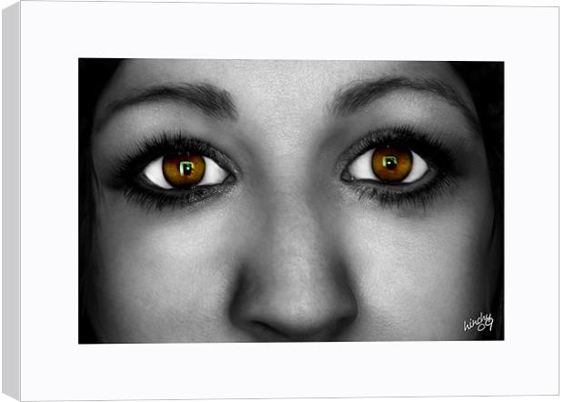 Brown eyed girl. Canvas Print by Paul Hinchcliffe
