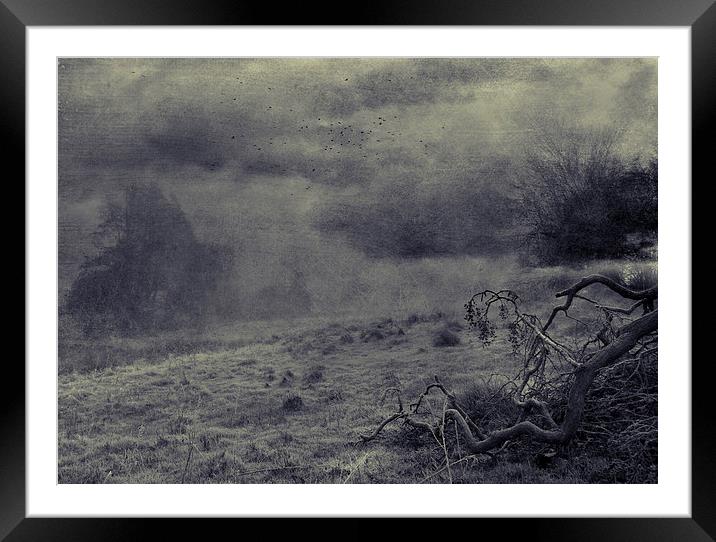 Haunted Framed Mounted Print by Dawn Cox