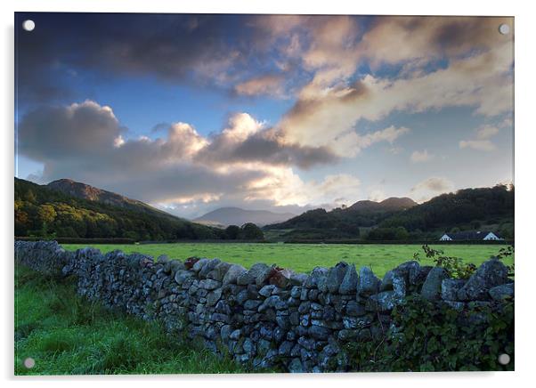 Cumbria dry stone wall Acrylic by Tony Bates