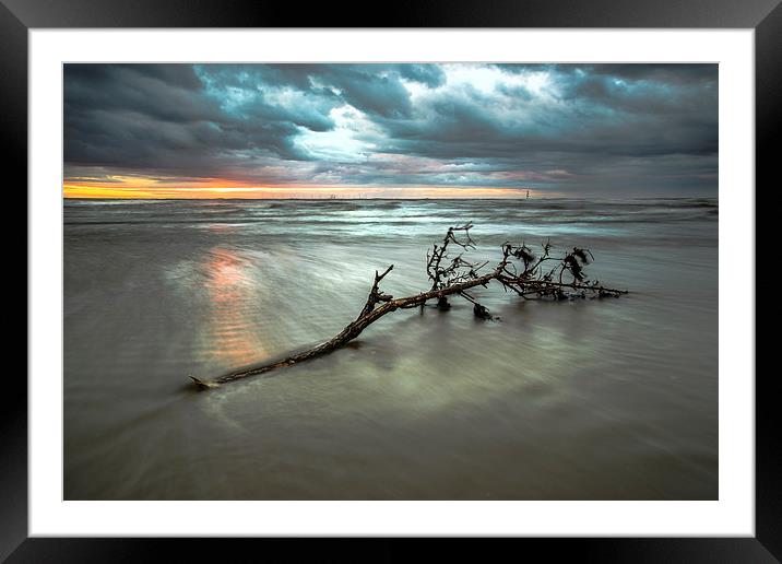 Driftwood sunset Framed Mounted Print by Jed Pearson