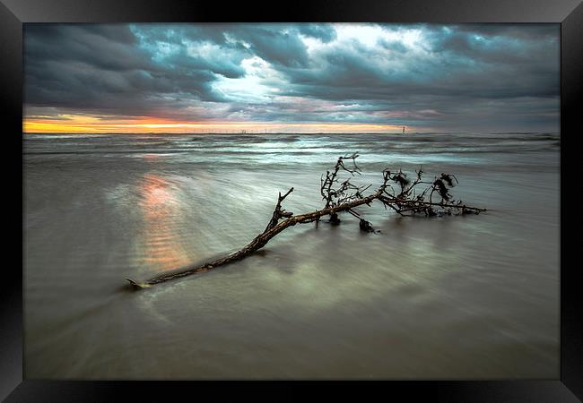 Driftwood sunset Framed Print by Jed Pearson