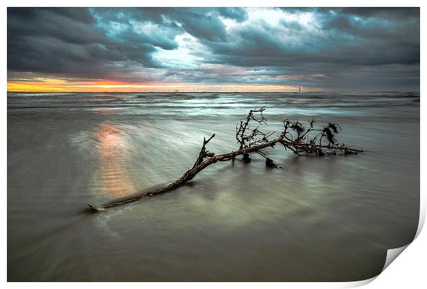 Driftwood sunset Print by Jed Pearson