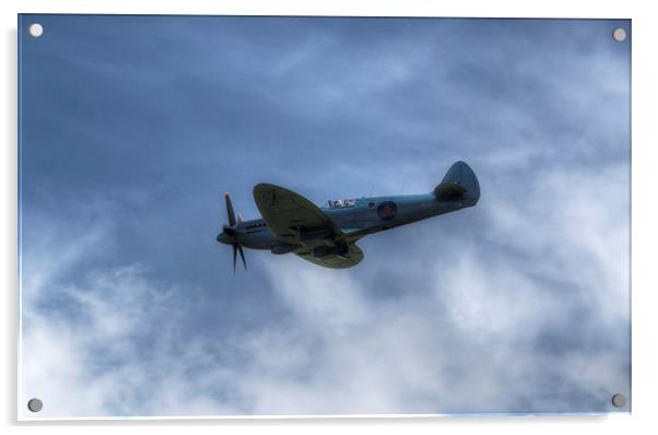BBMF Blue Spitfire Acrylic by Nigel Bangert