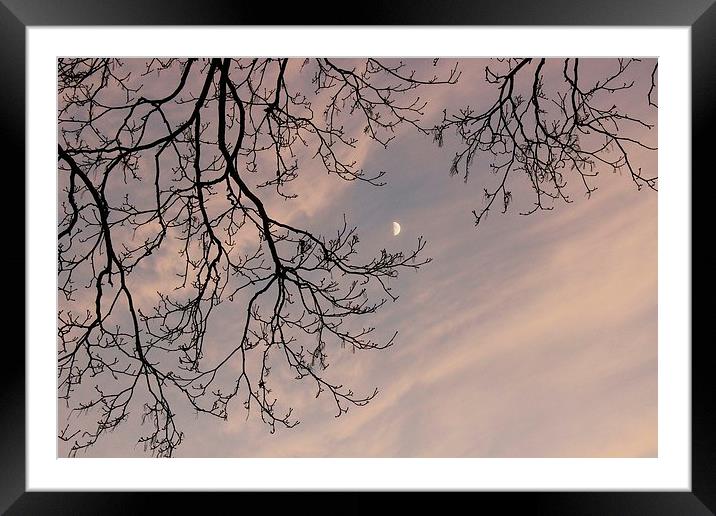 Rochester, Late Afternoon Sky Framed Mounted Print by Robert Cane