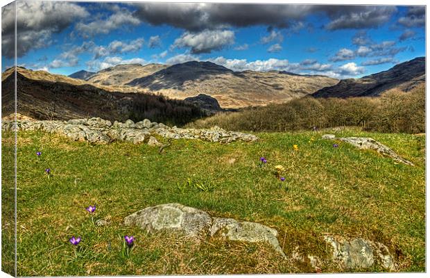 Spring In The Duddon Valley Canvas Print by Jamie Green
