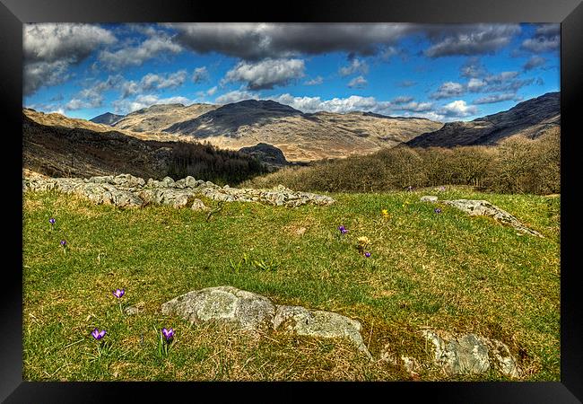 Spring In The Duddon Valley Framed Print by Jamie Green