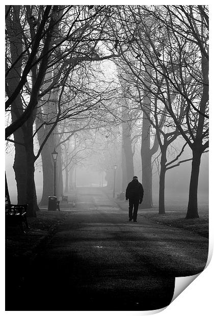 A Morning Walk Print by Deryck Obray