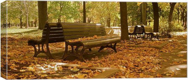 Autumn Bench Mirror Canvas Print by Michael Wood