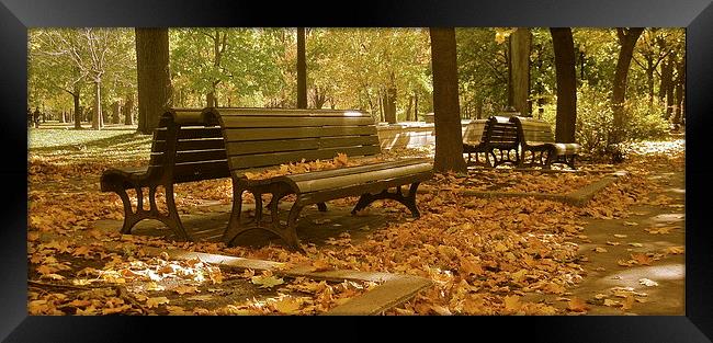 Autumn Bench Mirror Framed Print by Michael Wood