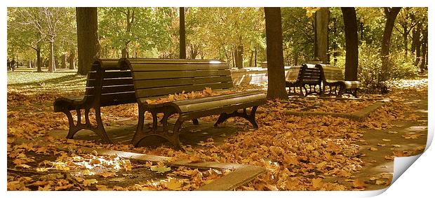 Autumn Bench Mirror Print by Michael Wood
