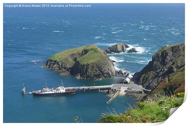 Lundy Island Harbour Print by Diana Mower