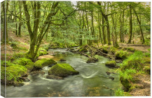 Woodland Stream Canvas Print by Paula Connelly