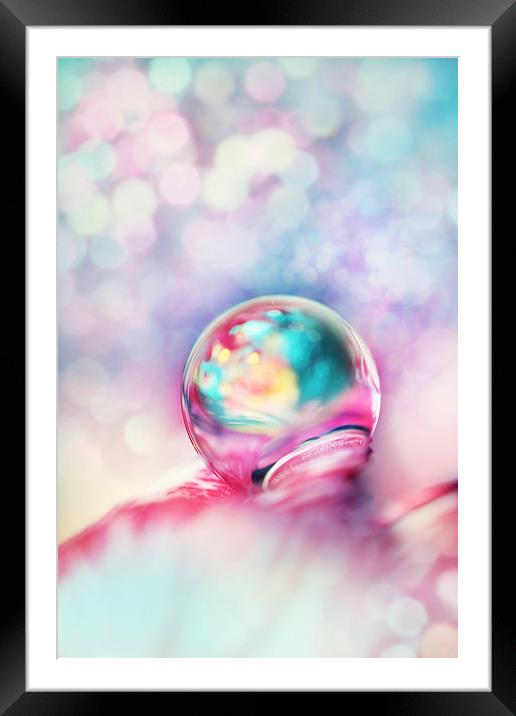 A Drop of Fun Framed Mounted Print by Sharon Johnstone